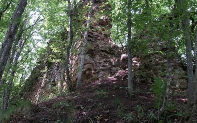 Врбашки град